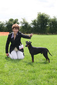 Stui at BMTC winning Best Puppy in Show and Reserve Best Dog in Show