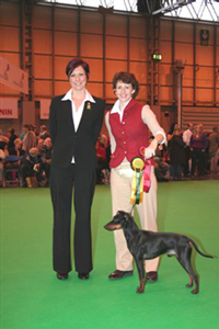 Kit at CRUFTS with Stui